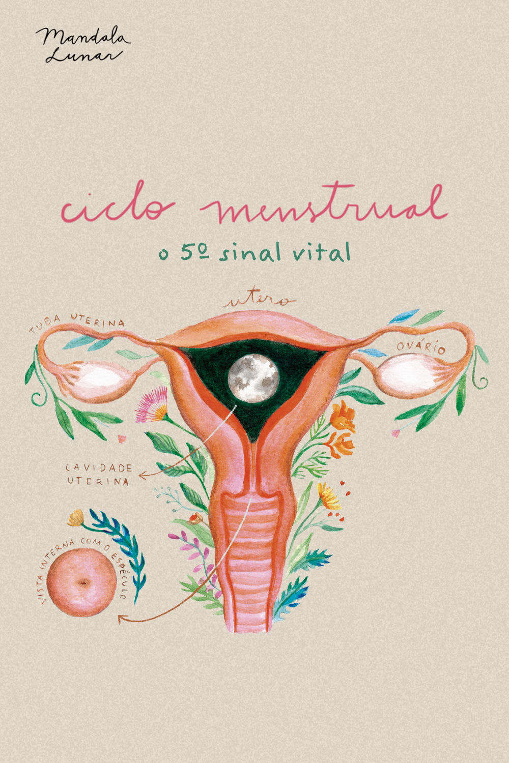Você está visualizando atualmente Autoconhecimento Corporal: Como a Observação do Muco Cervical Pode Apoiar sua Saúde Íntima e Reprodutiva