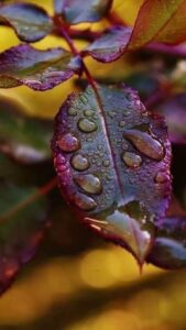 Leia mais sobre o artigo 💧🌿 Lubrificantes Naturais: Alternativas Saudáveis e Eficientes para o Bem-Estar Íntimo